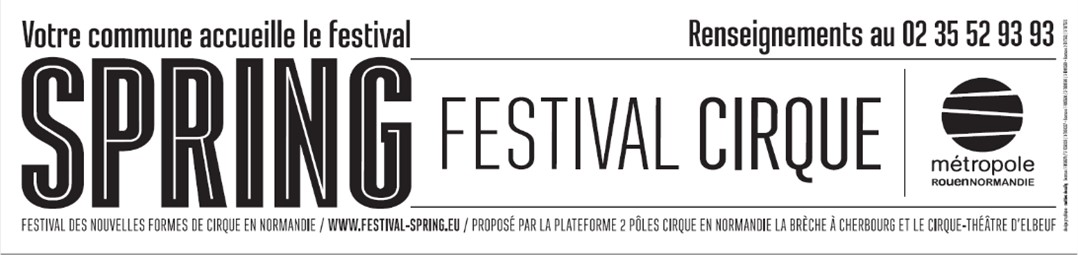 Formulaire du Spring Festival 2025
