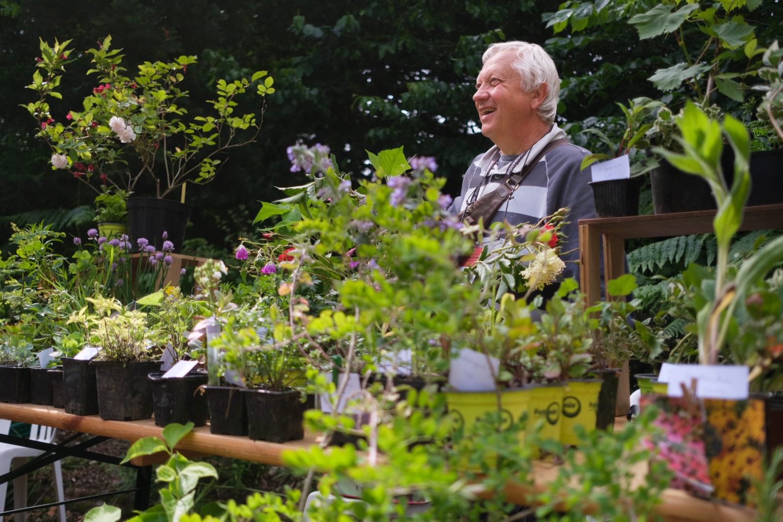 VIDÉO. Graines de jardin à Rouen : « Le festival est un moment magique » -  Paris-Normandie