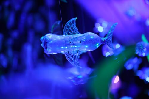 ocean de plastique