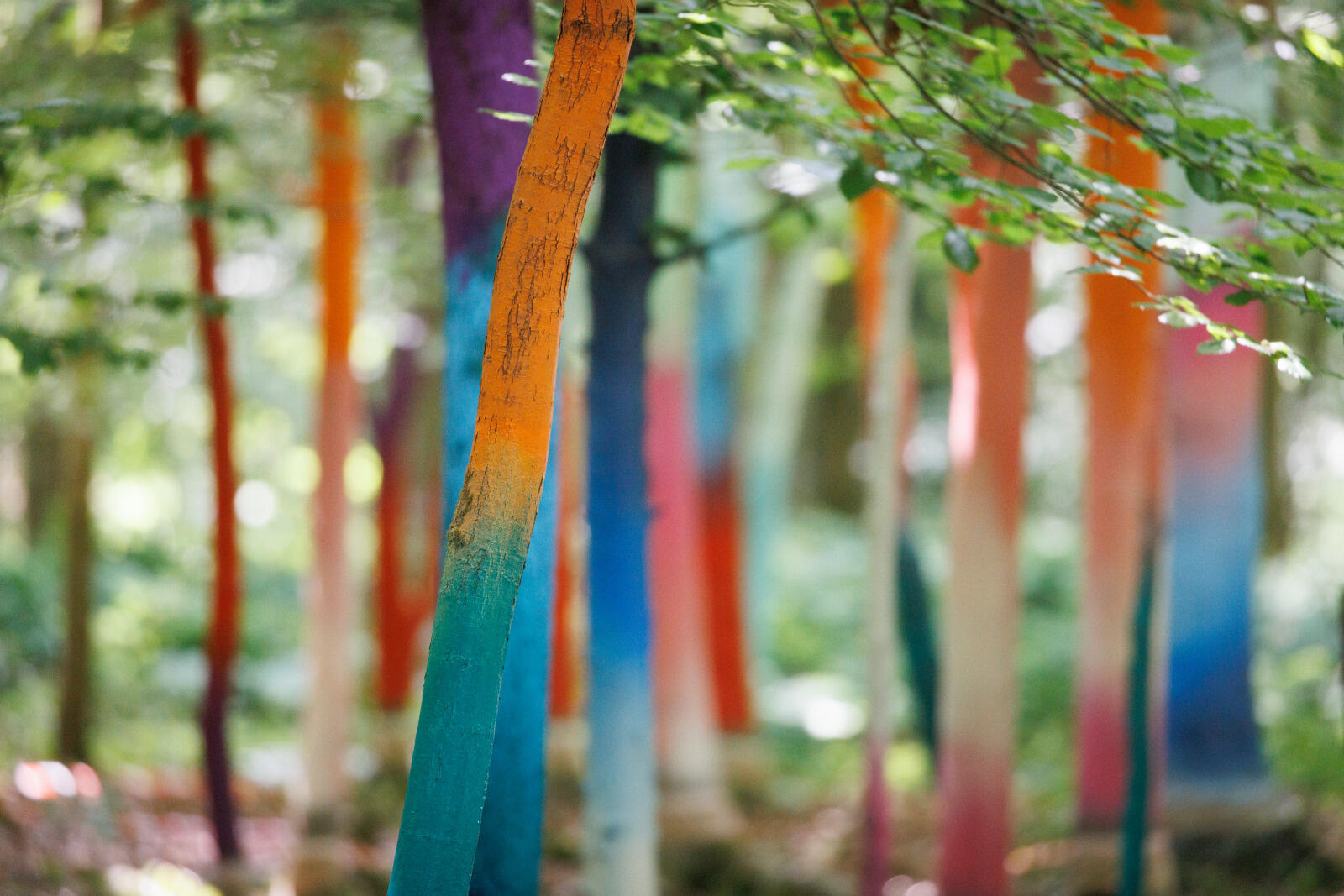 Une oeuvre de la Forêt Monumentale à Canteleu, intitulée La Forêt Sacrée