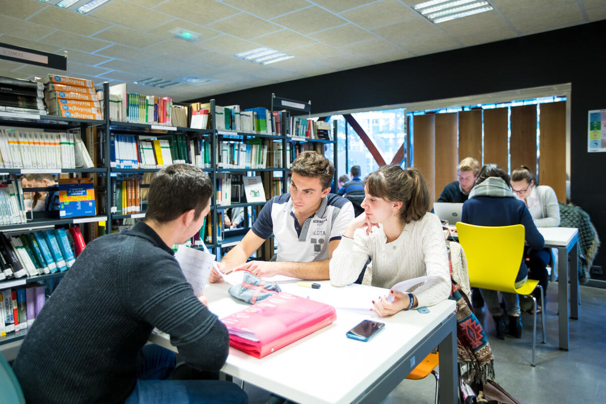 Des étudiants travaillent dans une bibliothèque