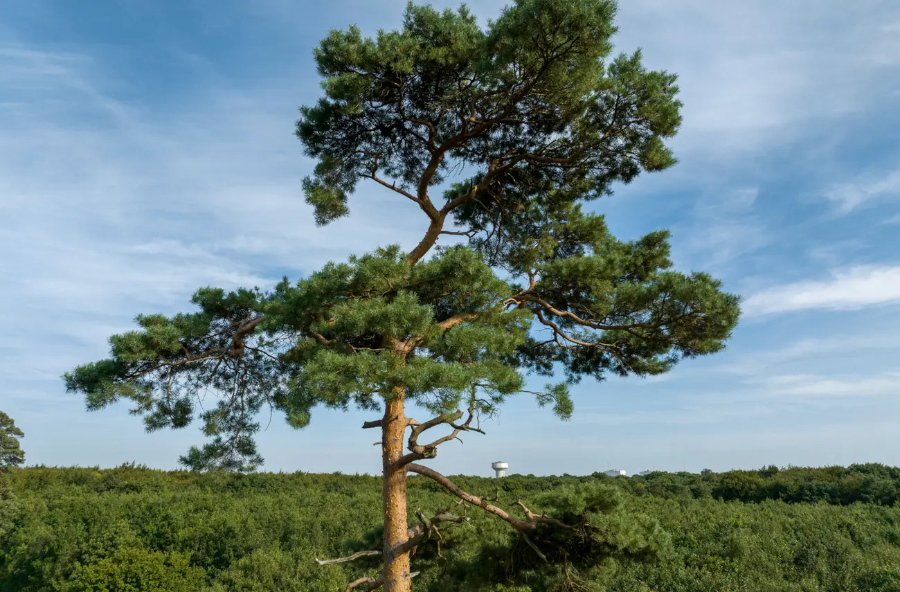 Biodiversité : la Métropole Capitale ! Biodiversité : la Métropole Capitale !