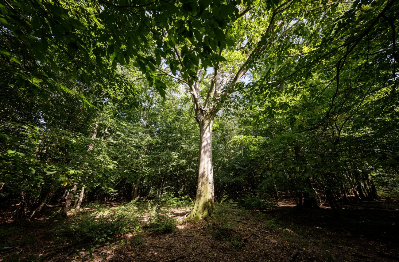 "Naturellement !" : les journées autour du vivant et de la terre "Naturellement !" : les journées autour du vivant et de la terre