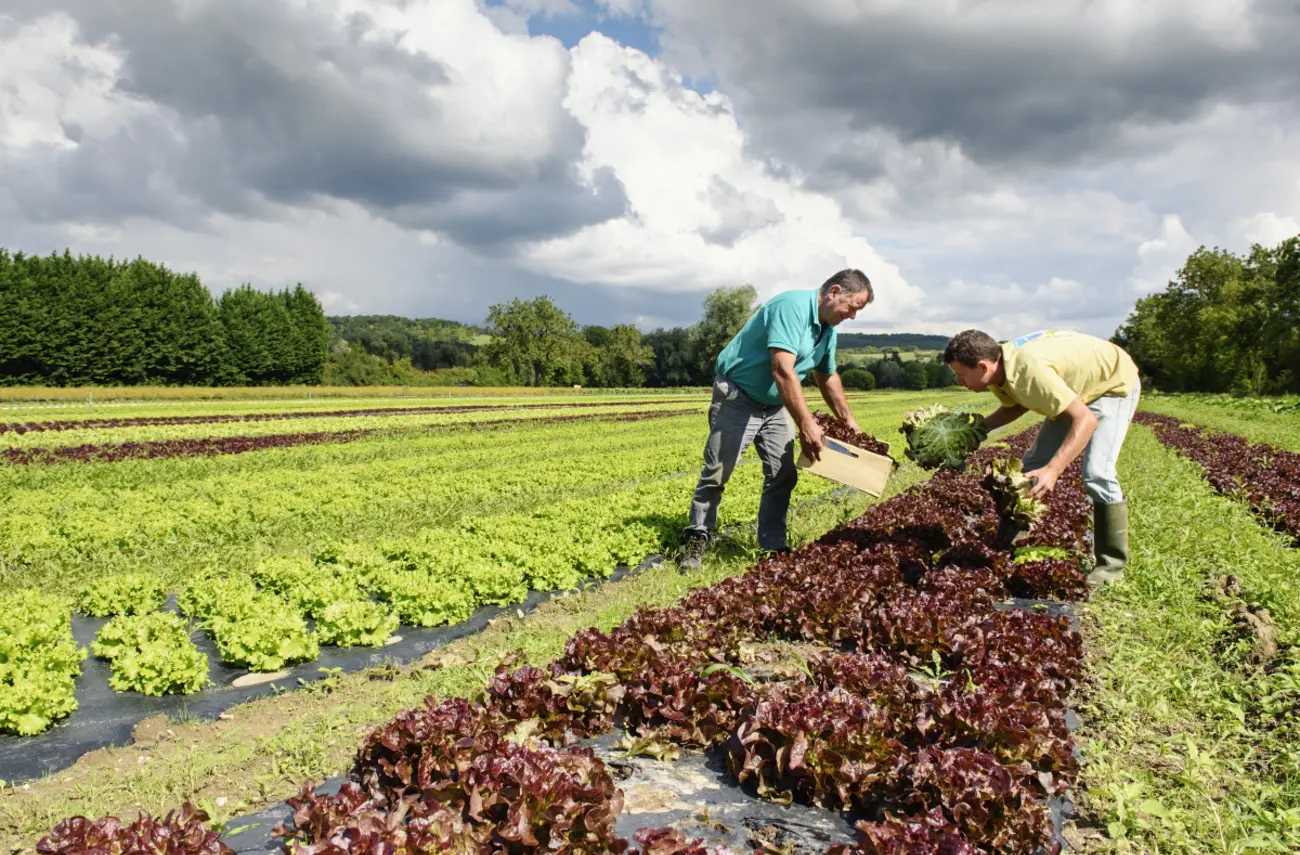 Appels à projets agricoles : la Métropole se mobilise en faveur d’une agriculture durable Appels à projets agricoles : la Métropole se mobilise en faveur d’une agriculture durable