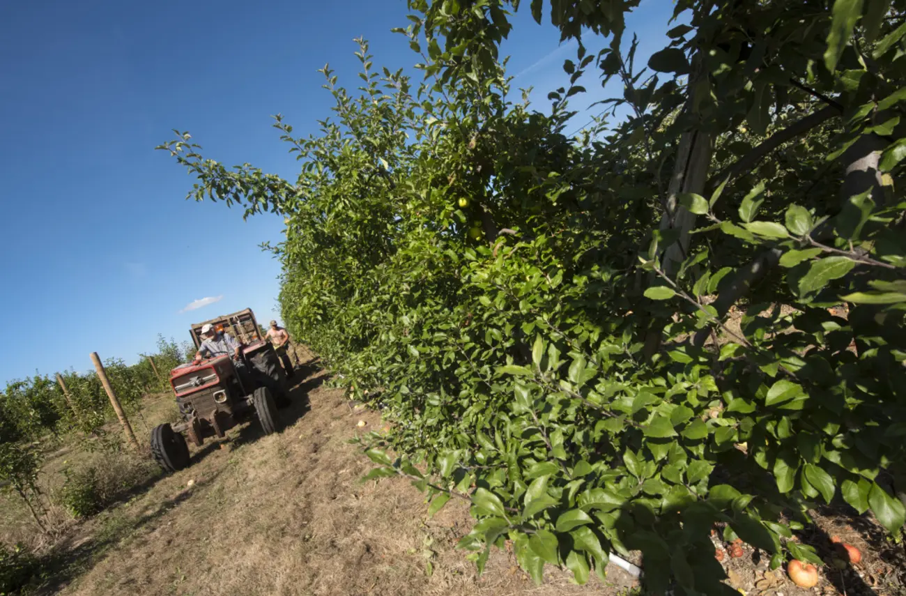 Appels à projets agricoles : la Métropole se mobilise en faveur d’une agriculture durable