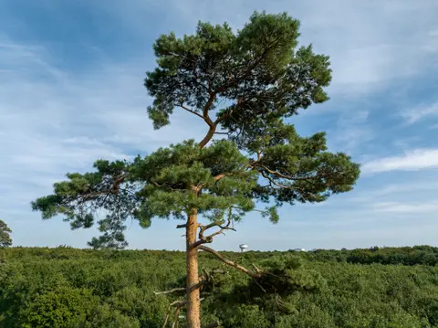 Biodiversité : la Métropole Capitale !