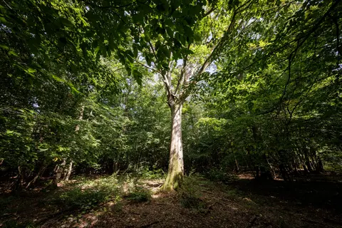  "Naturellement !" : les journées autour du vivant et de la terre