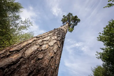 La Métropole Rouen Normandie élue Capitale Française de la Biodiversité 2023