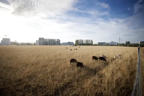 Convention citoyenne : engagez-vous !