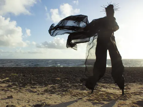 Nuit Blanche : Rouen accueille l'artiste martiniquaise Gwladys Gambie !