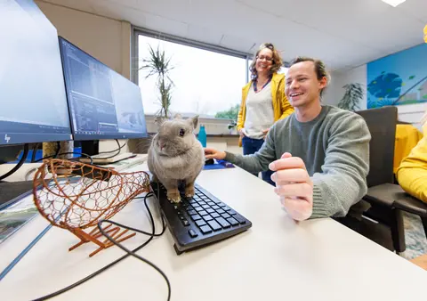 Le grand nettoyage numérique