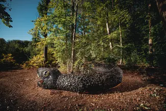 Forêt Monumentale : l'appel à création est clos pour la deuxième édition