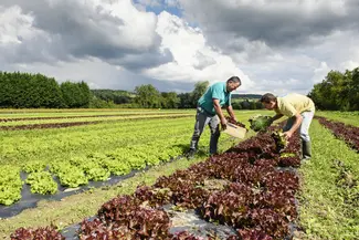 Appels à projets agricoles : la Métropole se mobilise en faveur d’une agriculture durable