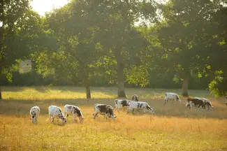 Bienvenue à la ferme !