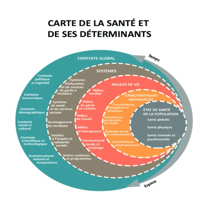 Un schéma présente une carte de la santé et de ses déterminants