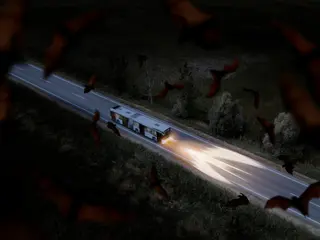 Les chauve-souris pointent à la ligne